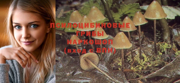 прущие крисы Надым
