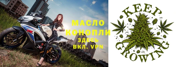 прущие крисы Надым