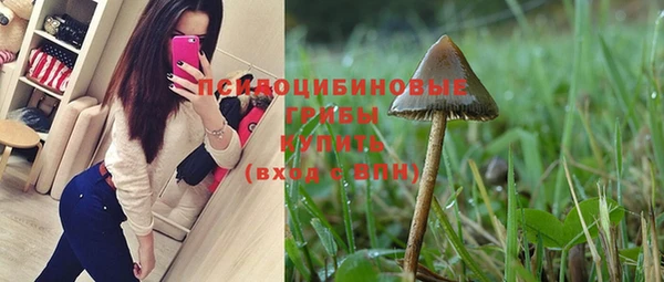 прущие крисы Надым