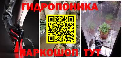 прущий лед Новозыбков