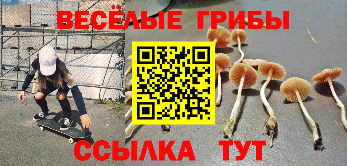 купить наркотик  Псилоцибиновые грибы Cubensis  Псилоцибиновые грибы ЛСД  Вход с VPN  Ухта 