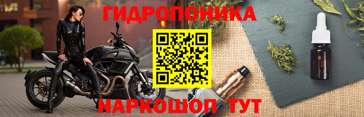 Канабис Bruce Banner Ухта